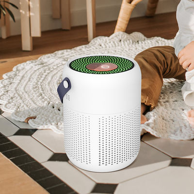 রুম পরিষ্কারের জন্য পোর্টেবল হাউজিং এয়ার পিউরিফায়ার