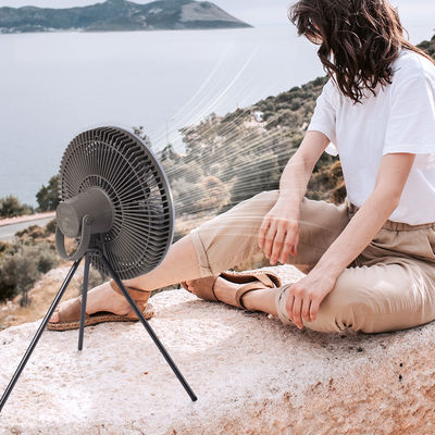 ব্যাটারি 10000mAh রিচার্জেবল টেবিল ফ্যান 12 ইঞ্চি লণ্ঠন LED টেন্ট লাইট ফ্যান